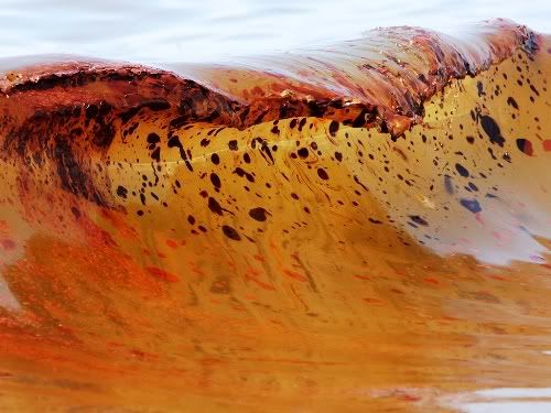 Oil Spill,BP,Photography,Wave of Mutilation