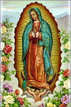 Virgen de Guadalupe Pictures, Images and Photos