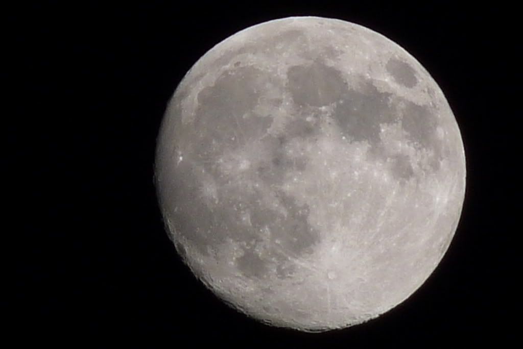 moon1.jpg
