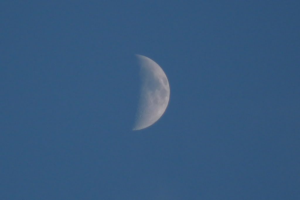 moon2.jpg