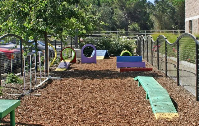 My West Sacramento Photo of the Day: A Playground For Dogs