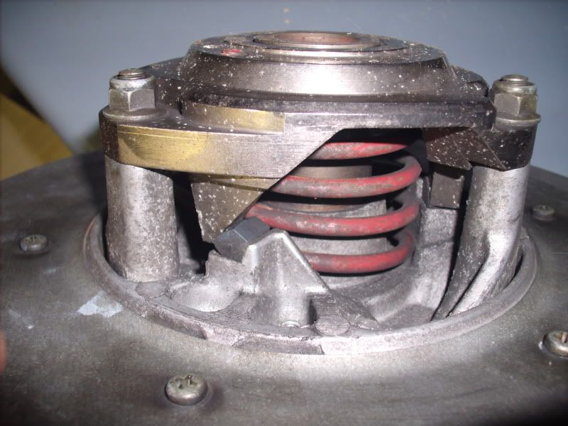GEDC0392.jpg
