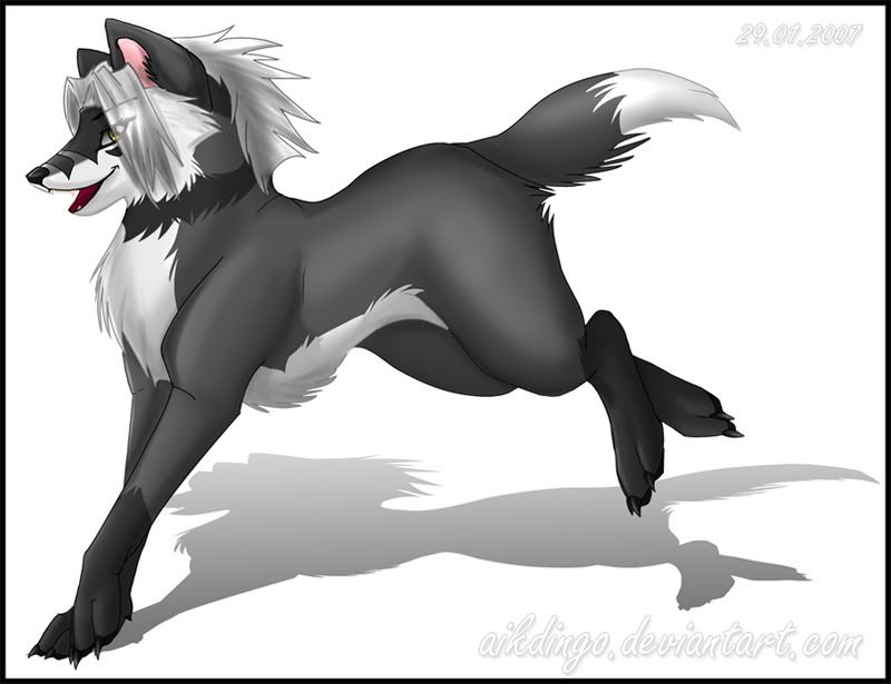 Obrázok “http://i199.photobucket.com/albums/aa59/wolfantasy/Cool%20Wolves/Eclipse-1.jpg” sa nedá zobraziť, pretože obsahuje chyby.