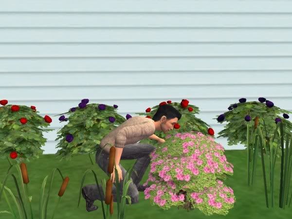 snapshot_1374b018_33834e88.jpg
