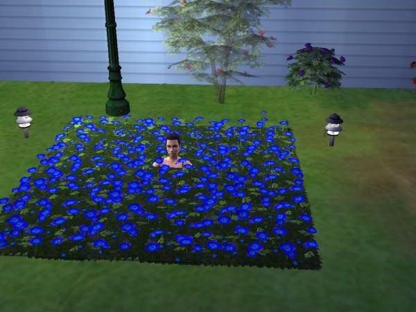 snapshot_1374b018_5375ea09.jpg