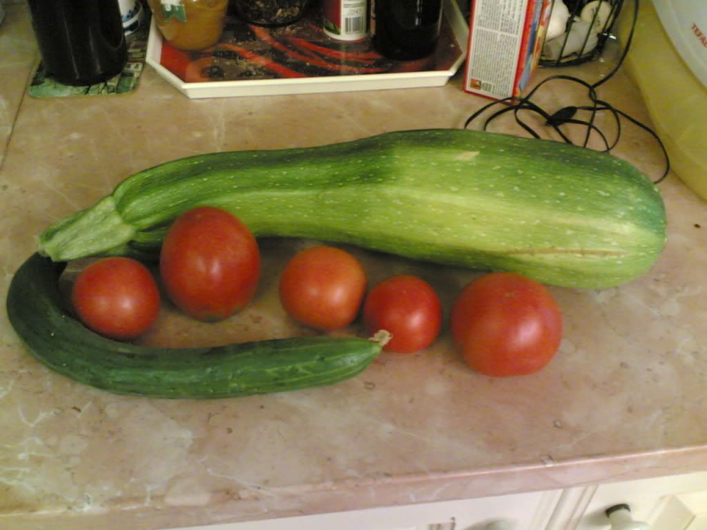 pomodori, zucchine e cetrioli