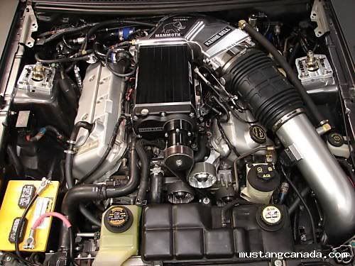 [Image: 41064a364d6d11987.jpg]