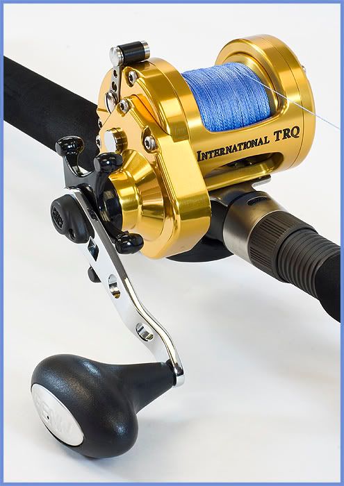 IMAGE: http://i199.photobucket.com/albums/aa67/ReelFishhead/PennreelT-100.jpg