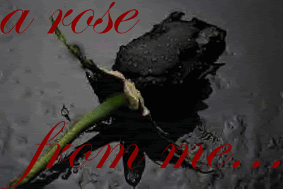 blackrose.gif Blackrose image by queenvampyress