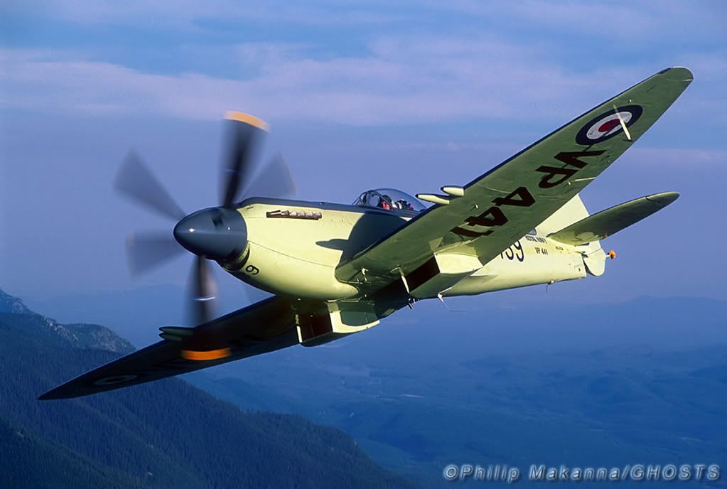 [Image: 9315SEAFIRE_jpg.jpg]