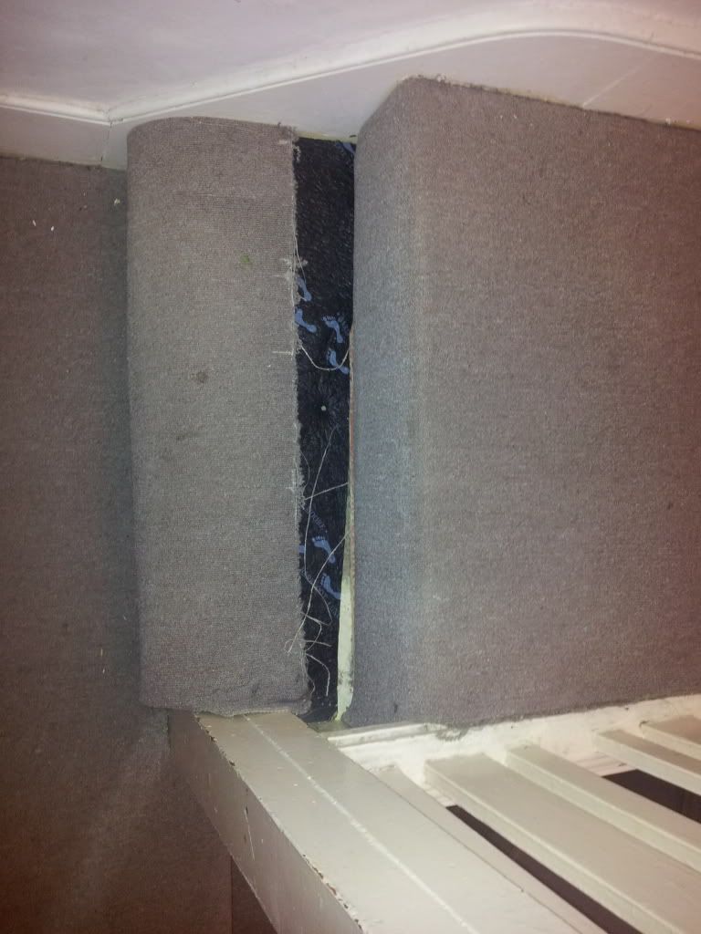 Cat problem How can you stop them ripping up carpets? urban75 forums