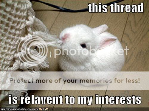 https://i199.photobucket.com/albums/aa13/RBLX44/funny-pictures-rabbit-eats-thread.jpg