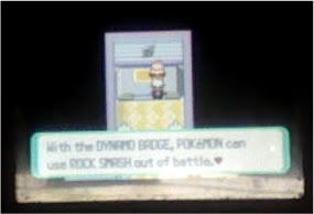 [PokeCommunity.com] Ultimate Monotype Challenge Thread