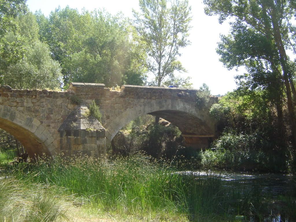 DSC09717.jpg