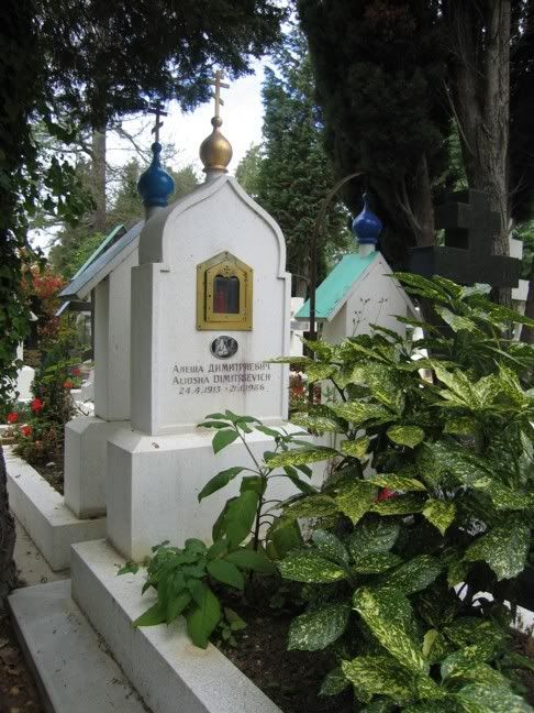 Алеша Дмитриевич