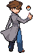 [PokeCommunity.com] Burst ninja's sprite explosion
