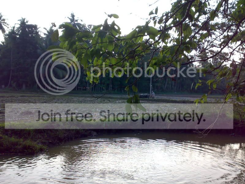 04112008023.jpg