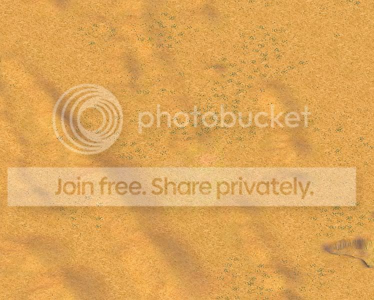 Desert2b.jpg