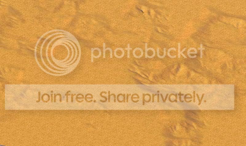 Desert4a.jpg