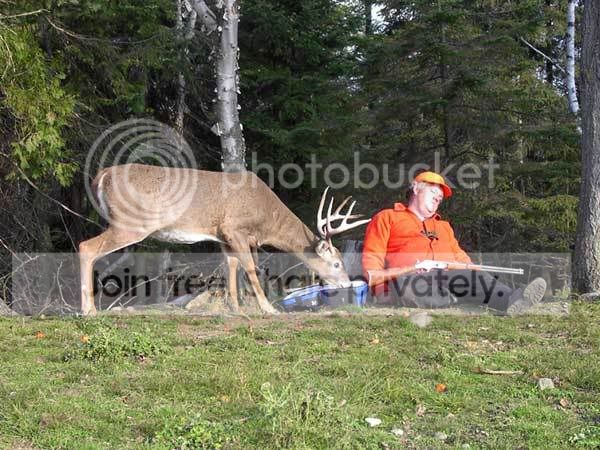 redneck_hungry_deer.jpg