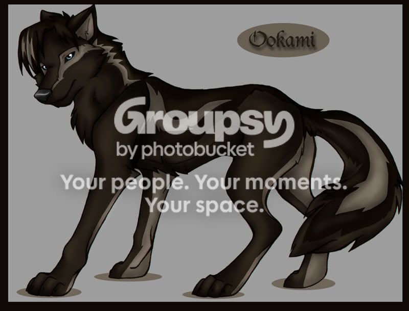 User Image