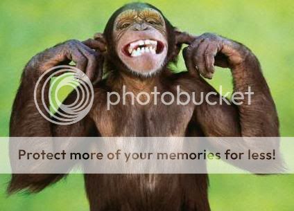 http://i199.photobucket.com/albums/aa67/buttonbaggins2/funny_monkey.jpg