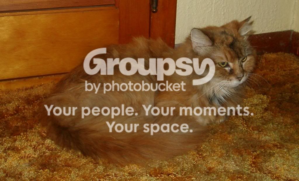 [Linked Image]